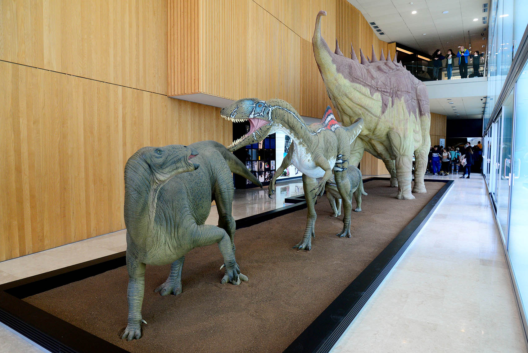 Museo Paleontológico de Cuenca. Foto: Rebeca Arango.