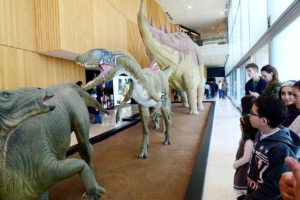 Museo Paleontológico de Castilla-La Mancha, en Cuenca. Foto: Rebeca Arango.