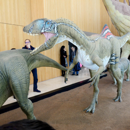 Pepito, el "Concavenator Corcovatus" en el Museo de la Paleontología de Cuenca.