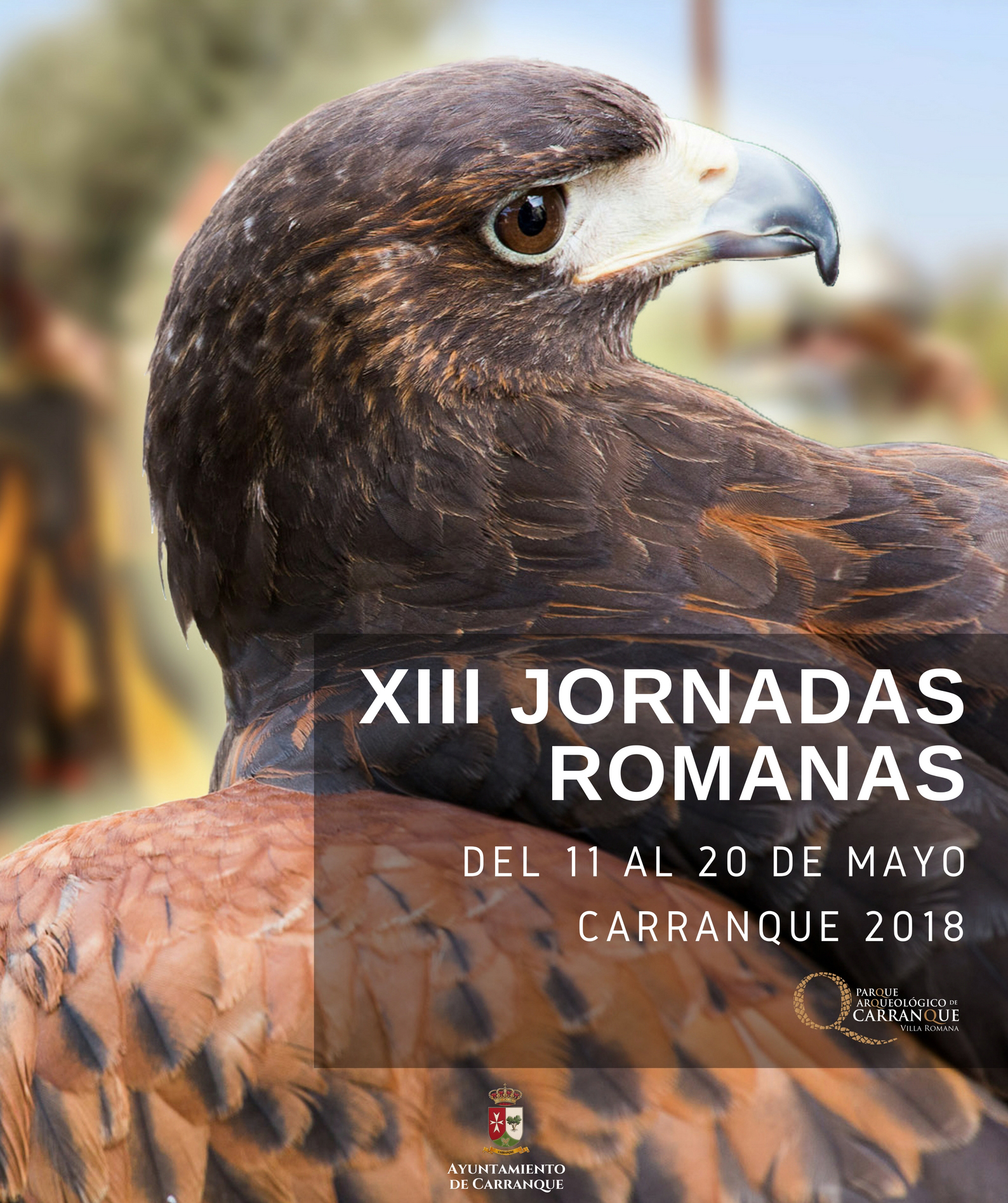 XIII Jornadas Romanas