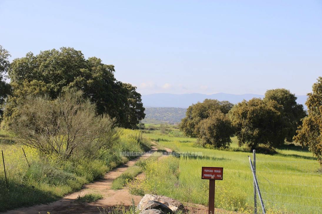 Finca Zurraquín.