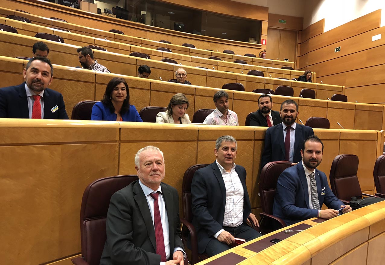 Amores (primero por arriba a la derecha), en el Senado asistiendo a las Jornadas Parlamentarias "Propuestas para un nuevo marco jurídico del Deporte".