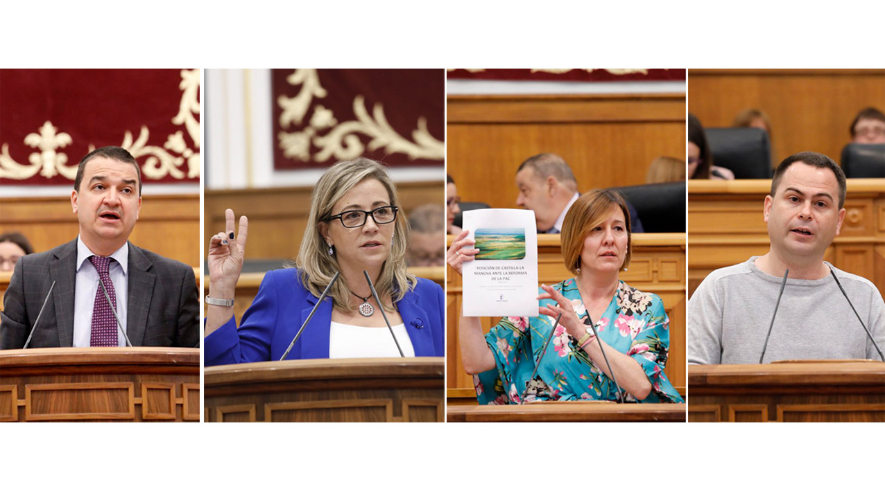 Los participantes en el debate sobre la PAC en las Cortes de CLM.