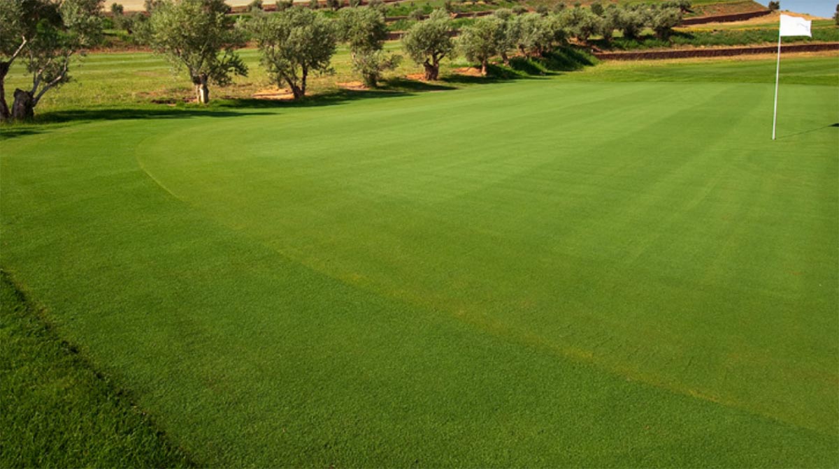 Campo de golf "La Caminera" en Ciudad Real