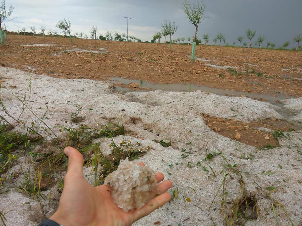 pedriscoUPA Castilla-La Mancha.