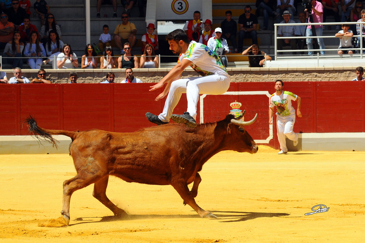 Recortadores en Villaseca de la Sagra.