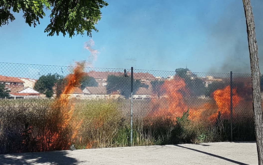 Incendio de maleza en la Vega Baja de Toledo
