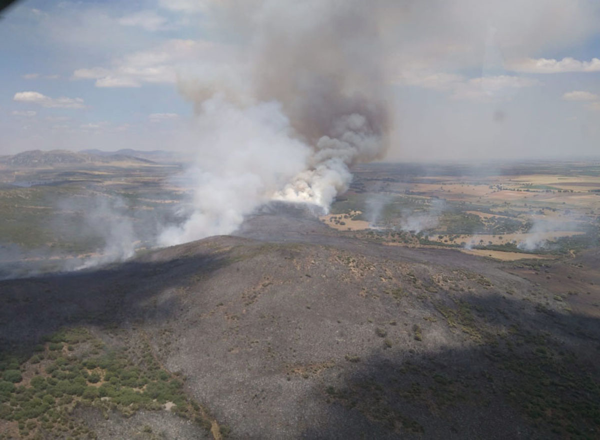 Foto del incendio en Miguelturra publicada por @AT_Brif. incendios forestales