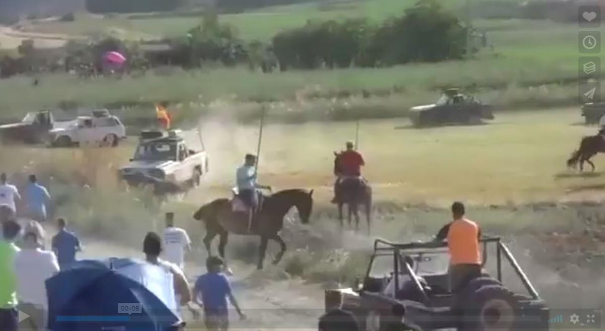Momento del atropello a un toro por un todoterreno en Centenera