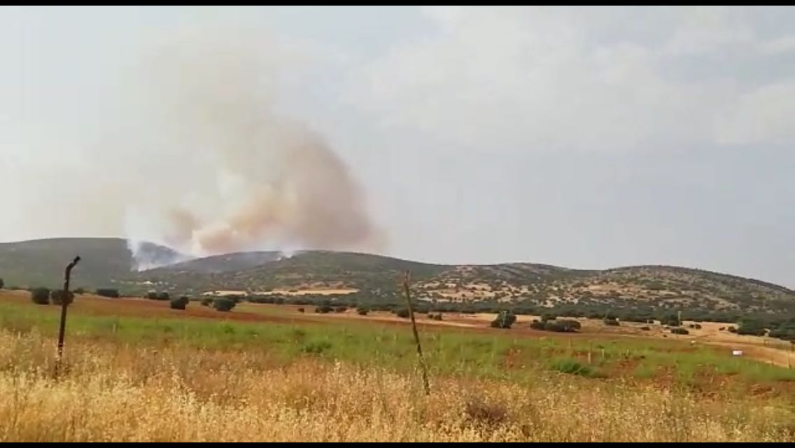 Imagen del incendio de Moral de Calatrava.