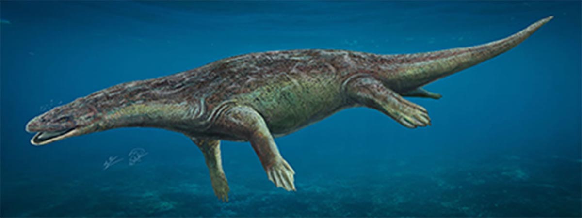 Este aspecto tenía el reptil que vivía en Guadalajara hace 230 millones de años