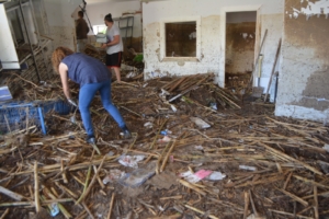 Interior de la farmacia de Cebolla.