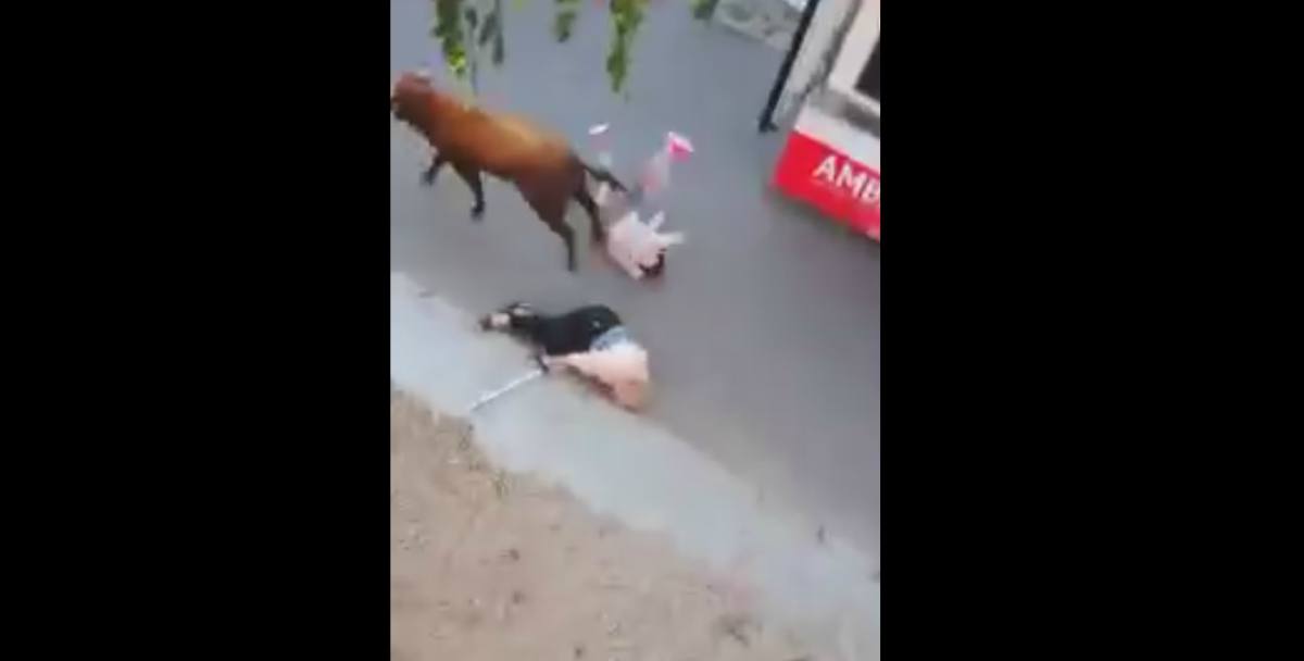 Encierro en Arcas en el que un toro es escapó del recorrido.