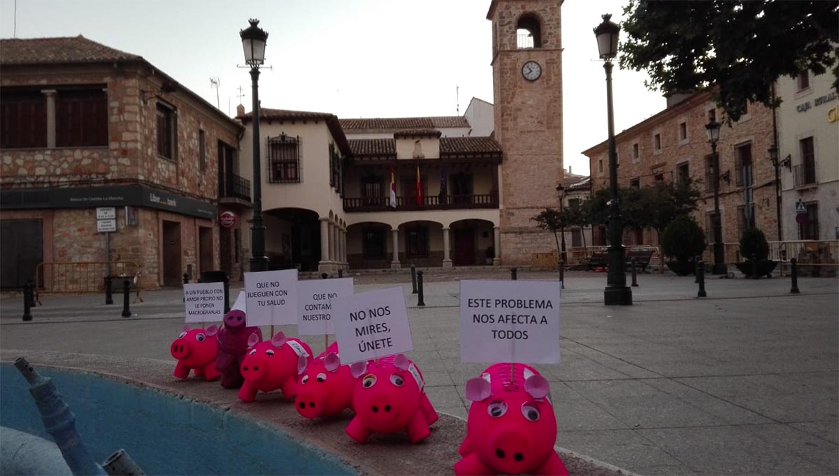 1990 cerditos contra las macrogranjas en Mota del Cuervo