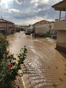 Imagen de Cebolla tras la riada. Meteocam