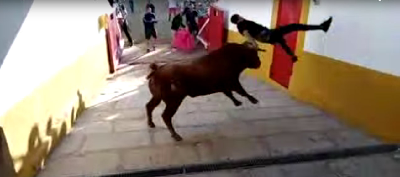 Un toro embiste a un corredor en Bargas.