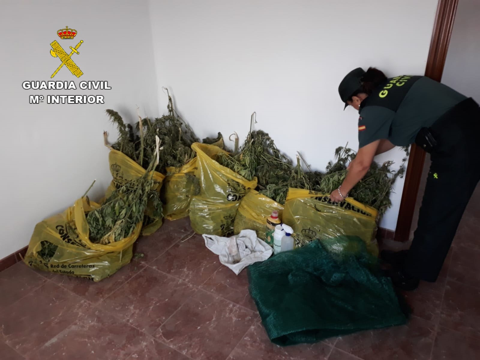 Marihuana incautada en La Mancha conquense.