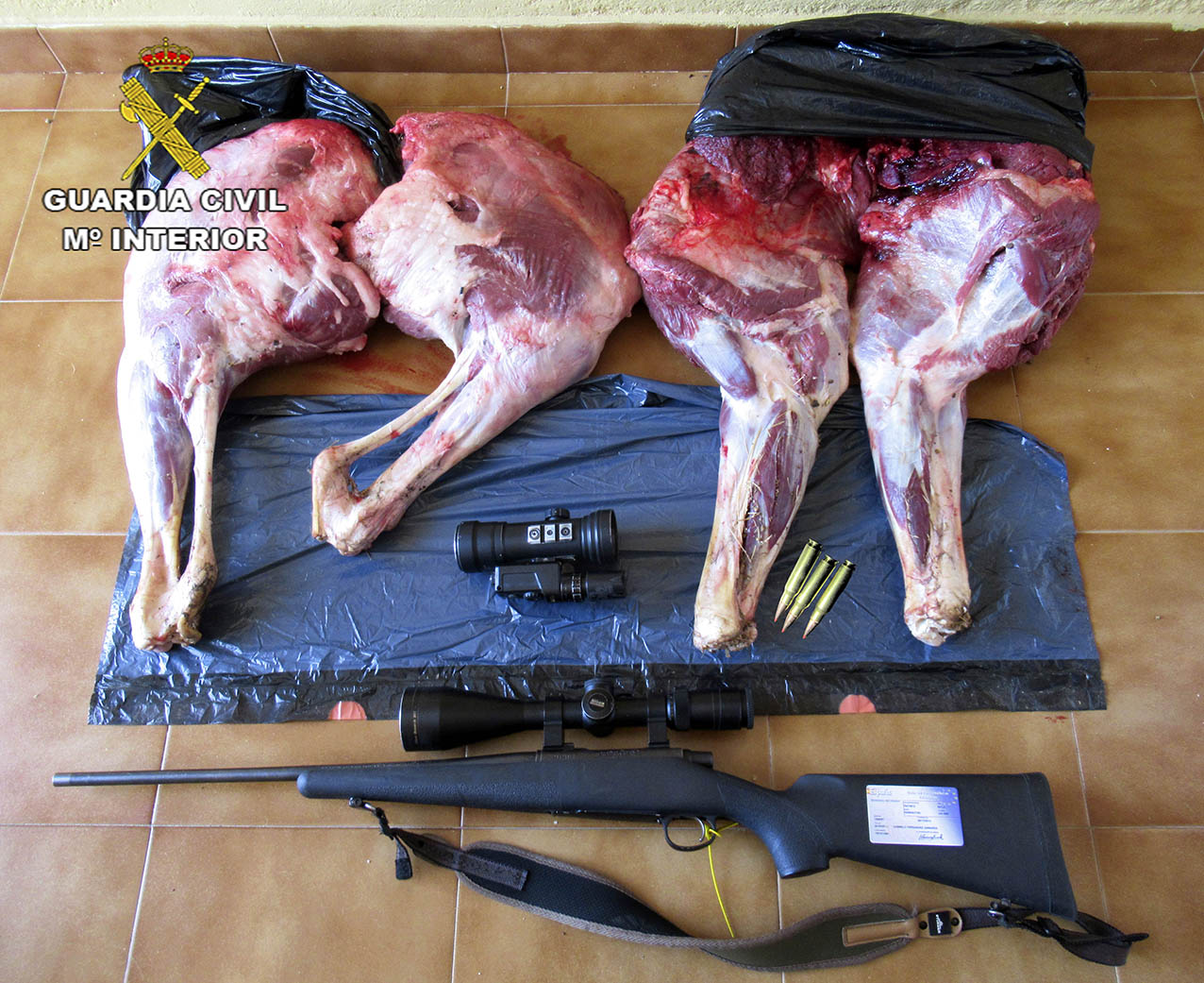 Los restos del ciervo, ya troceado, junto al rifle que utilizaron para matarlo.