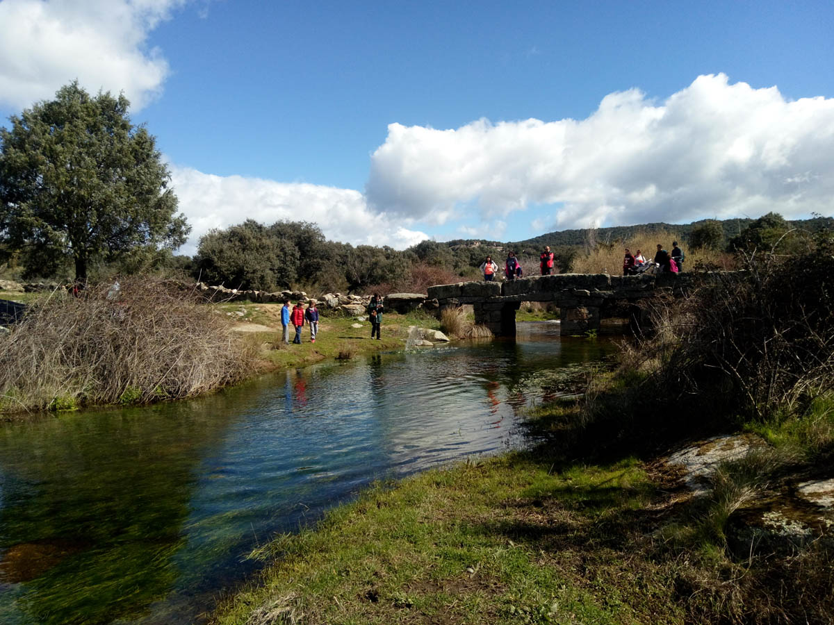 Naturaleza, senderismo, Medio Ambiente