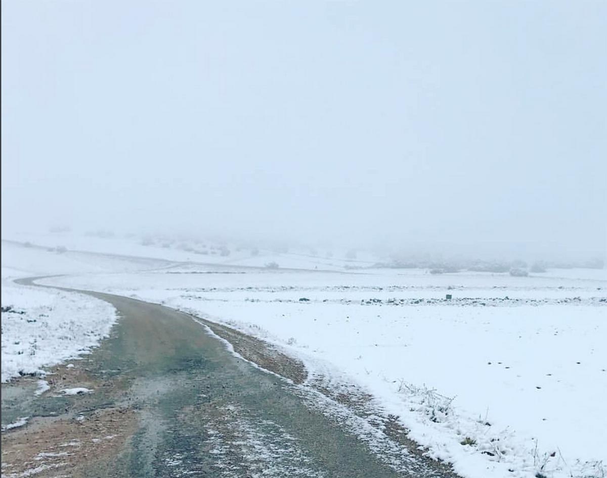 La nieve, cayendo sobte la provincia de Albacete (desde Viveros y Ruidera)