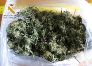 Foto de archivo de una operación contra el tráfico de marihuana en Villarrobledo