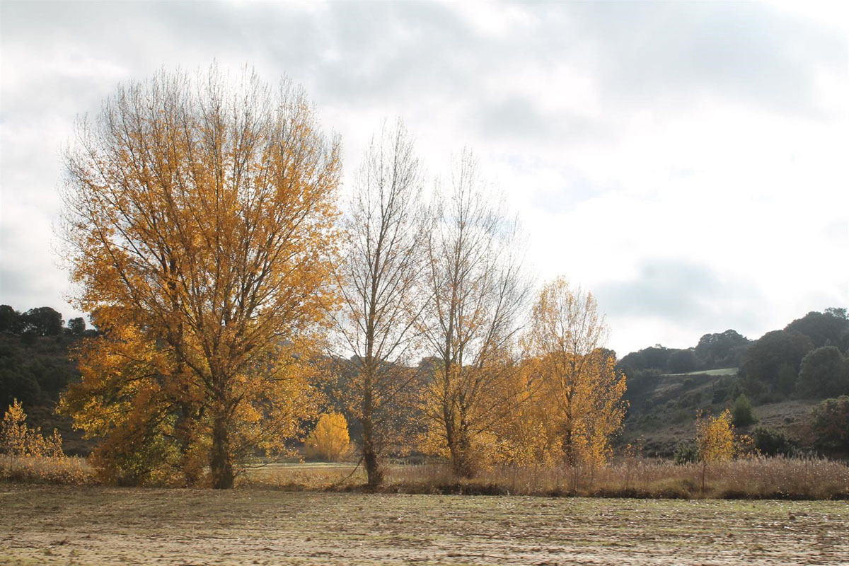 Otoño