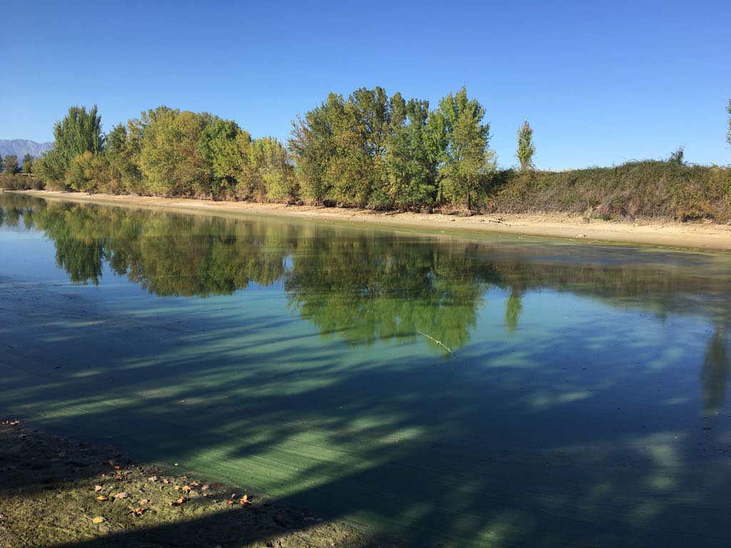 hetzelfde Verminderen zeevruchten Denuncian el vaciado de la balsa del arroyo de San Julián, en Las Ventas de San Julián - ENCLM hetzelfde Verminderen zeevruchten Denuncian el vaciado de la balsa del arroyo de San Julián, en Las Ventas de San Julián - ENCLM