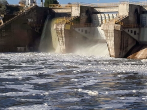 Espumas en el Tajo tras la presa de Castrejón.