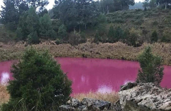 La laguna rosa, una gran noticia para Cañada del Hoyo