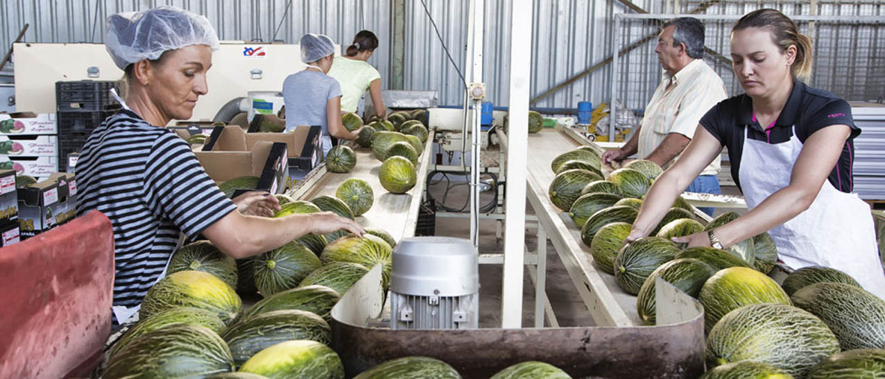 melón y sandía