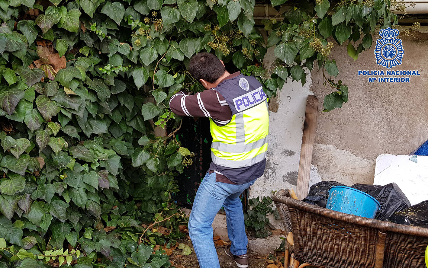 La Policía desmanteló, por tercera vez, el mismo chalé de Pepino con plantaciones de marihuana.