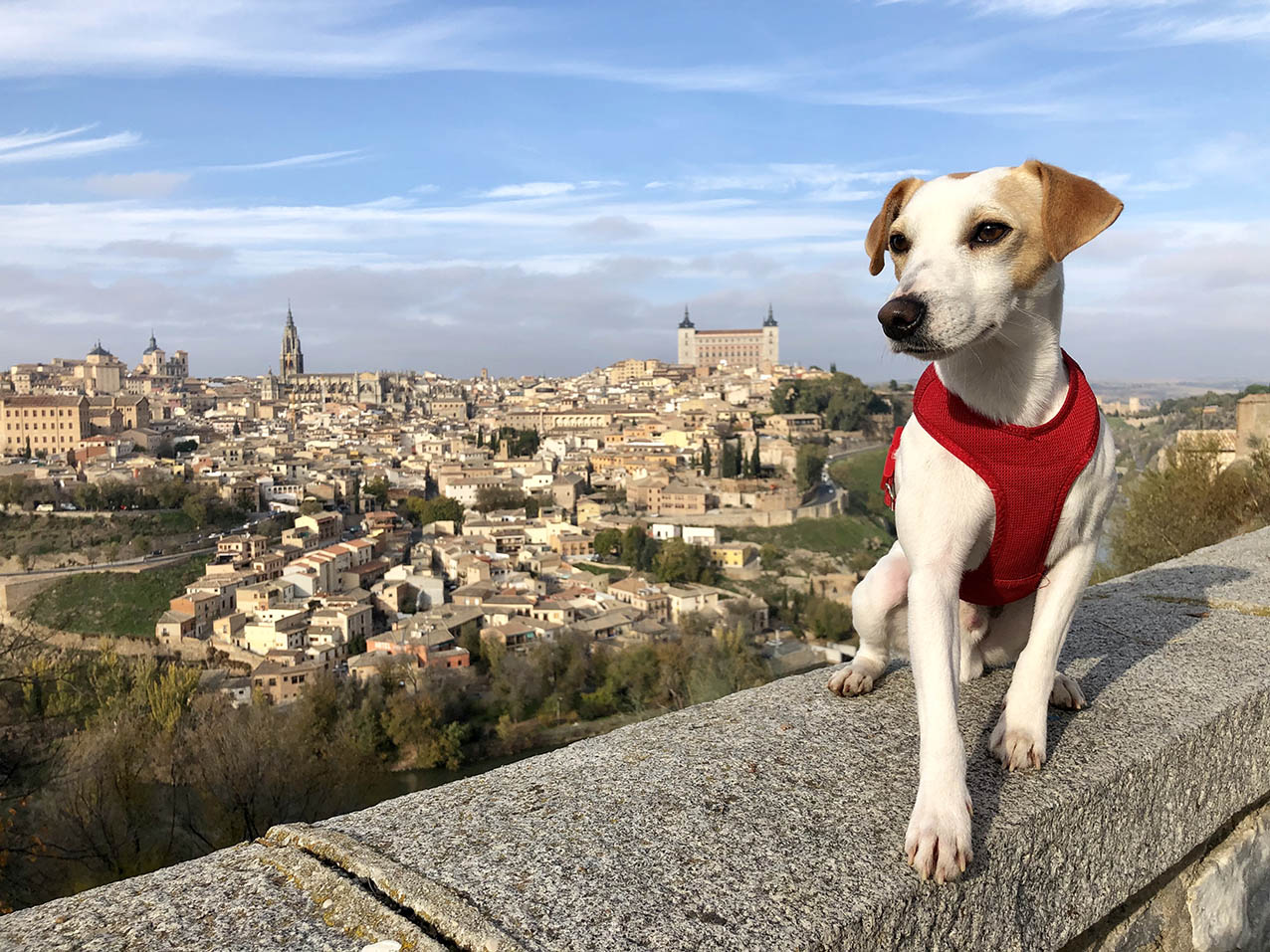 Pipper, durante su visita a Toledo, con la espectacular imagen de la ciudad al fondo