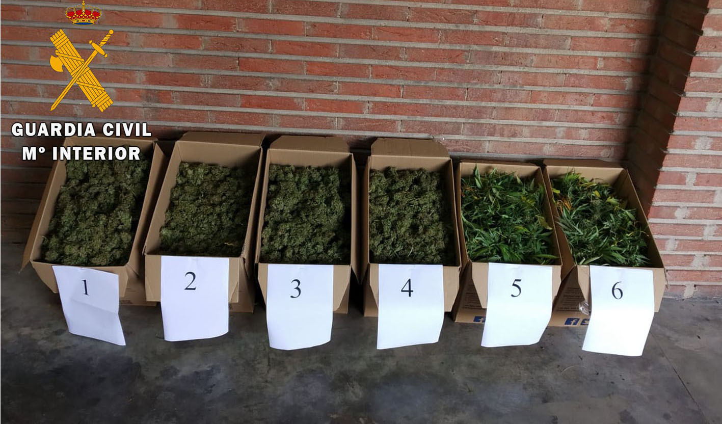 Parte de la marihuana incautada en una finca de Polán, en la provincia de Toledo