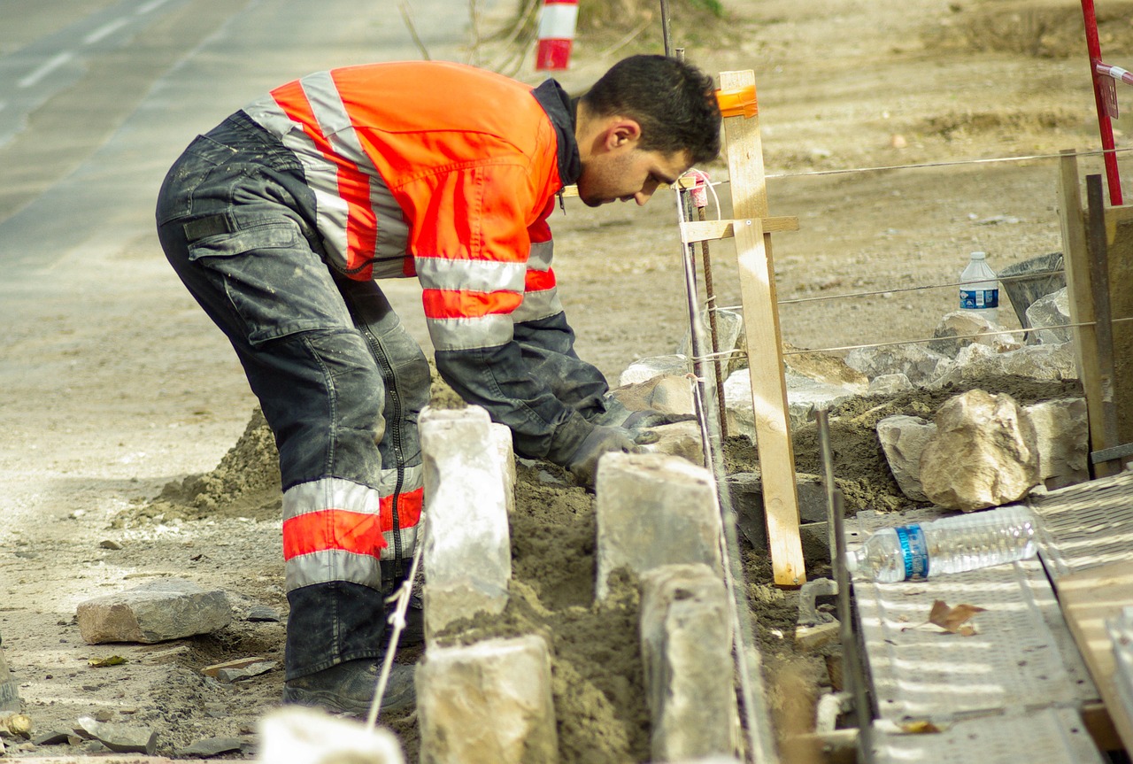 seguridad social empleo, trabajo, trabajador, trabajar, gente trabajando