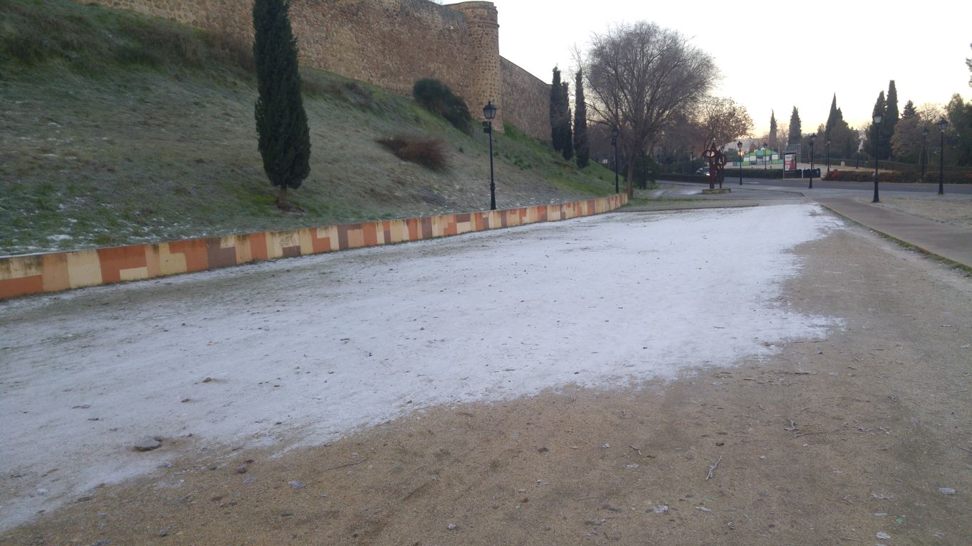 Helada en el paseo de Recaredo de Toledo.