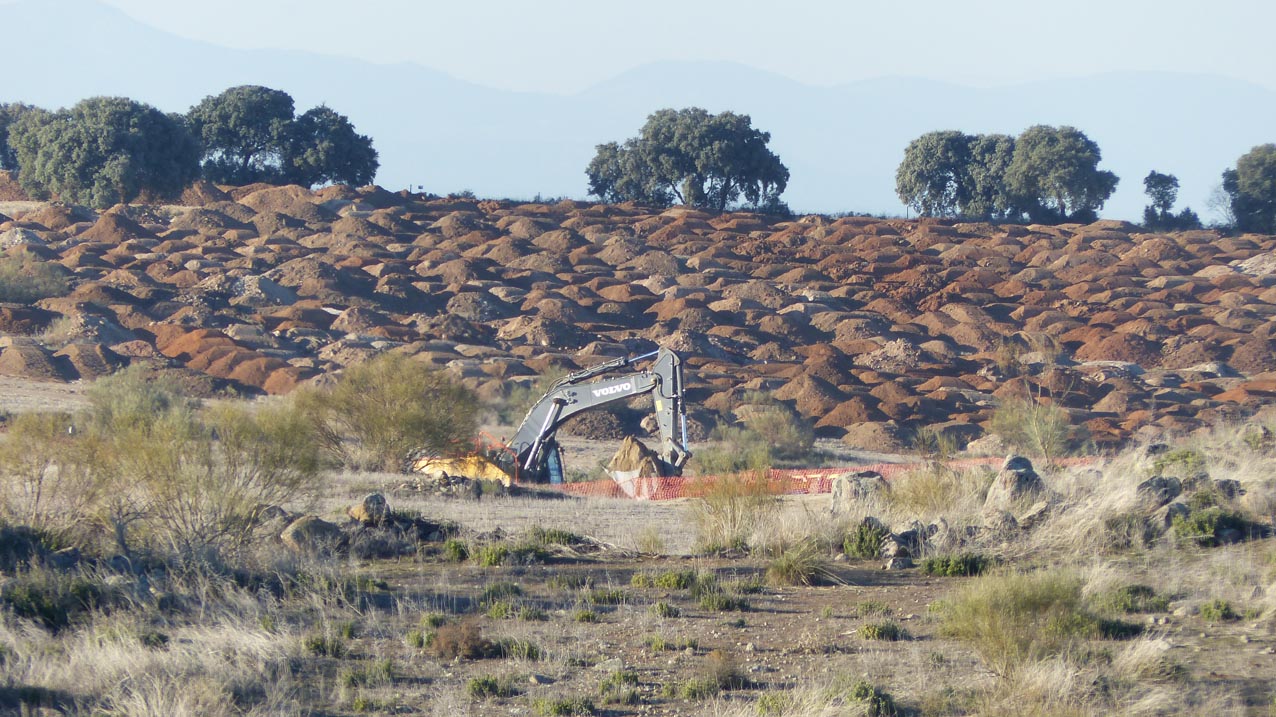 Trabajos en la Finca Zurraquín, donde se emplazará el Puy du Fou