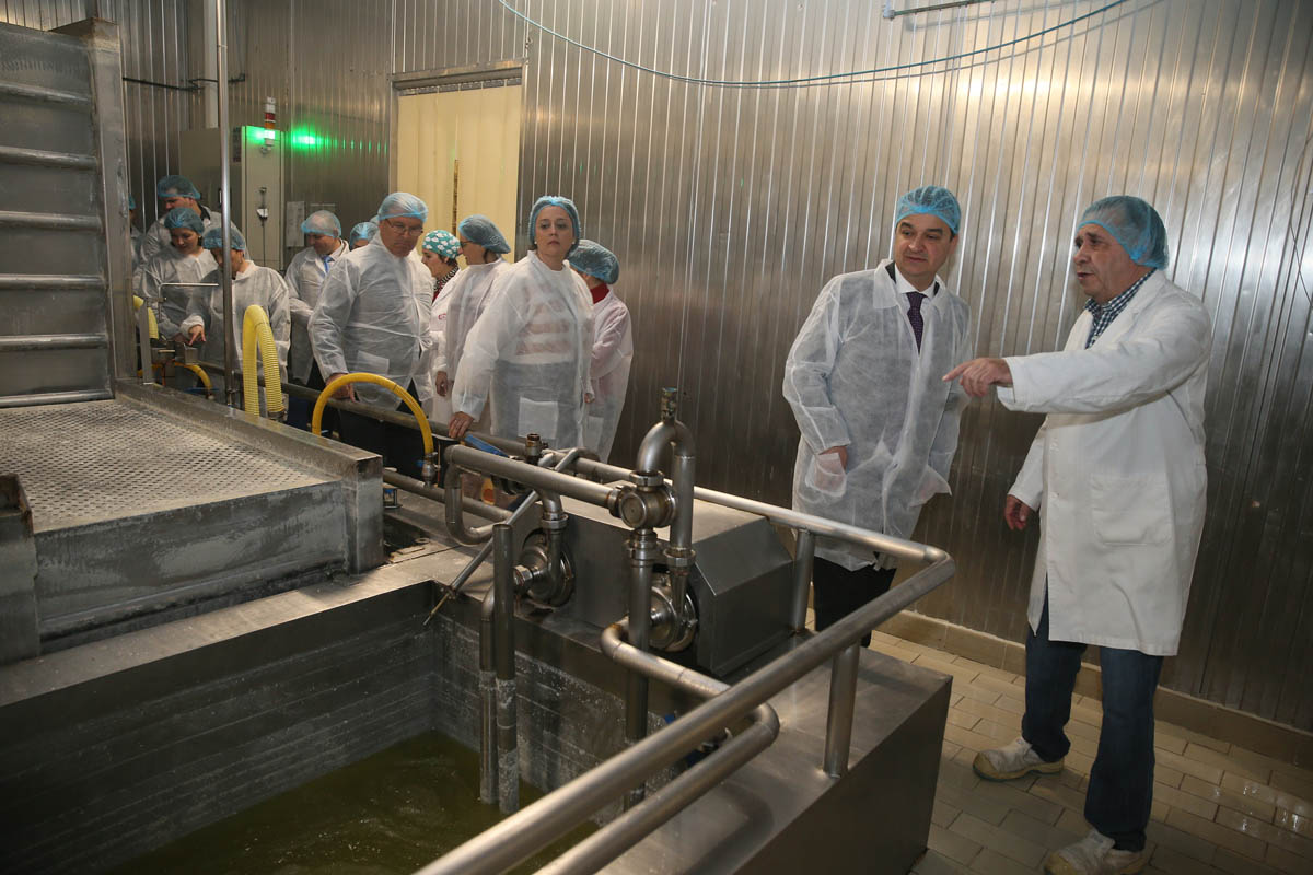 Martínez Arroyo en su visita a la empresa Quesos Corcuera.