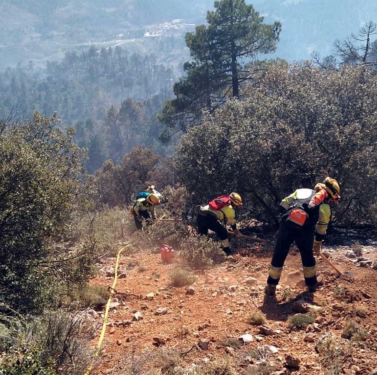 Incendio en Patenta de Madera.