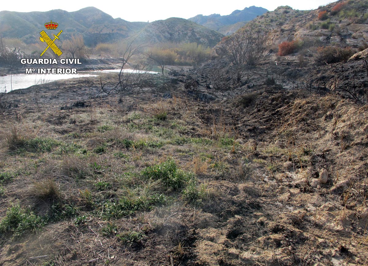 Zona afectada por el incendio.