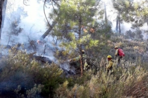 Sigue el incendio en Paterna del Madera