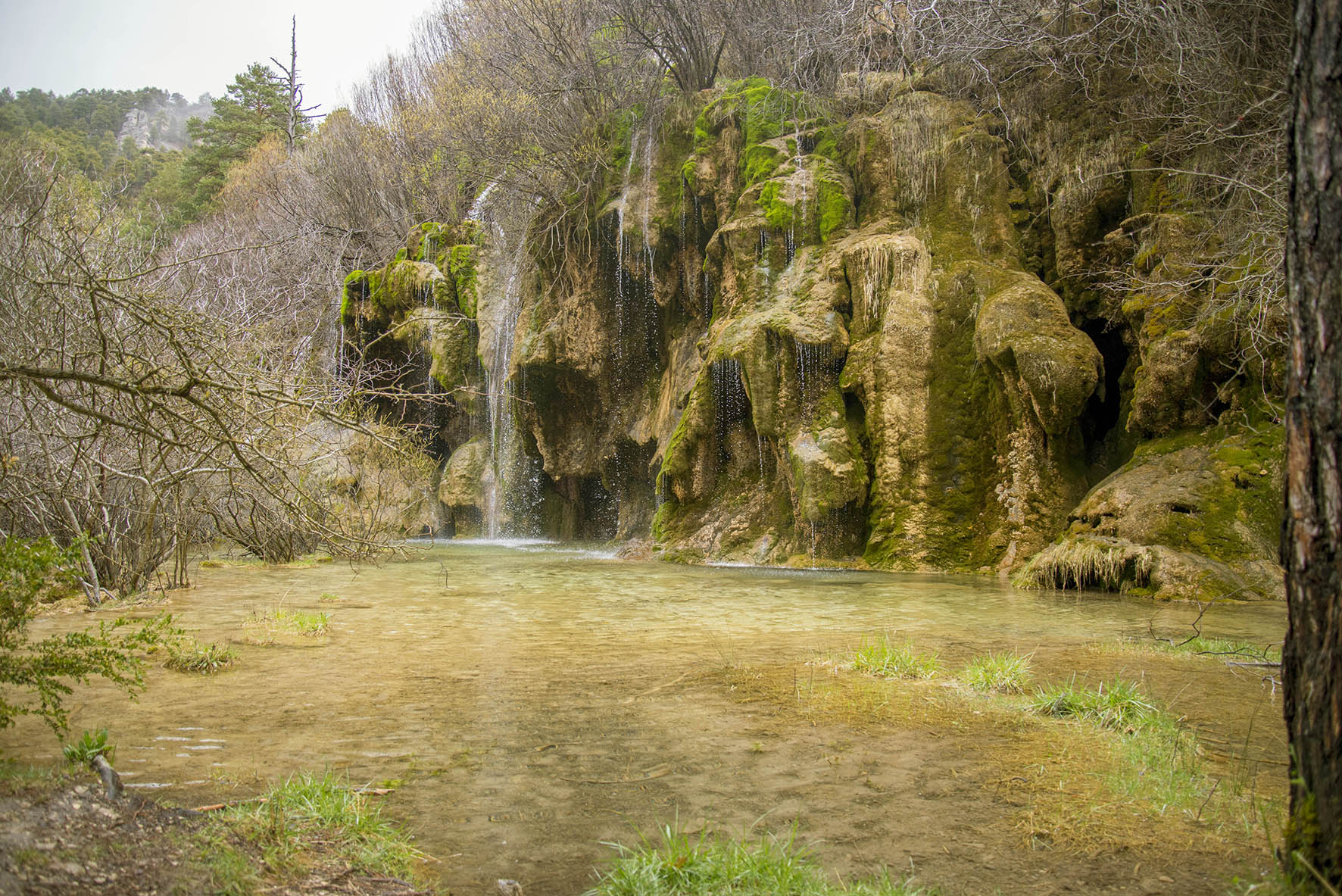 Nacimiento del Río Cuervo, en la provincia de Cuenca. Foto: Rebeca Arango.