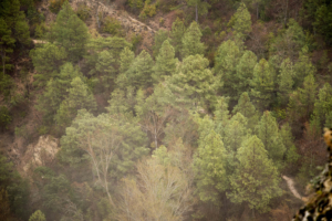 Ventano del Diablo en la Serranía de Cuenca.