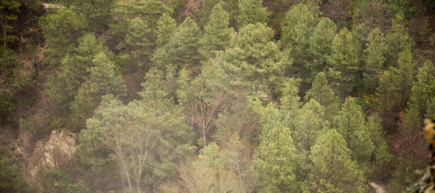 Ventano del Diablo en la Serranía de Cuenca.