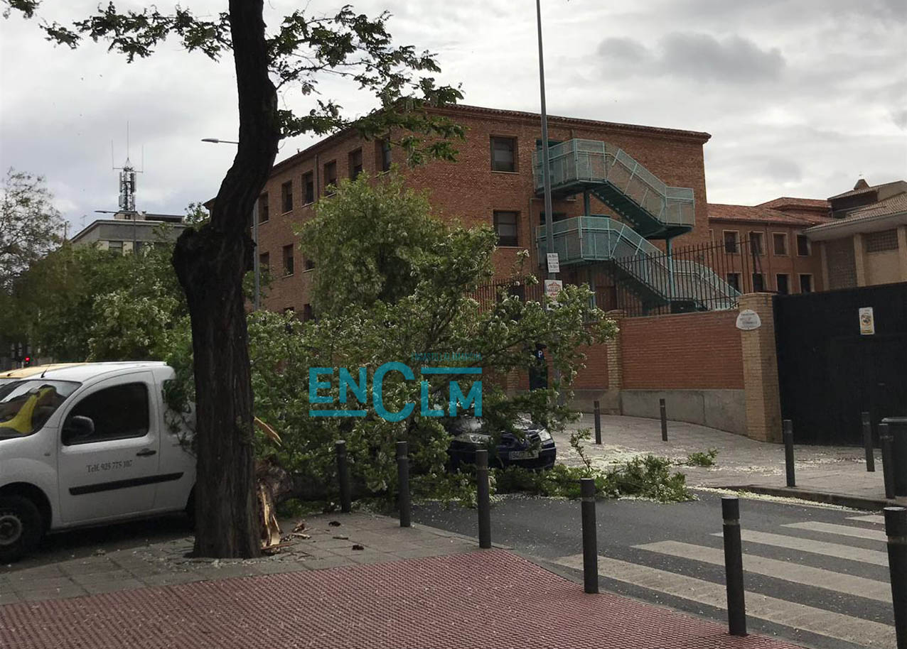 Toledo La rama de árbol que se ha desprendido en la avenida América.