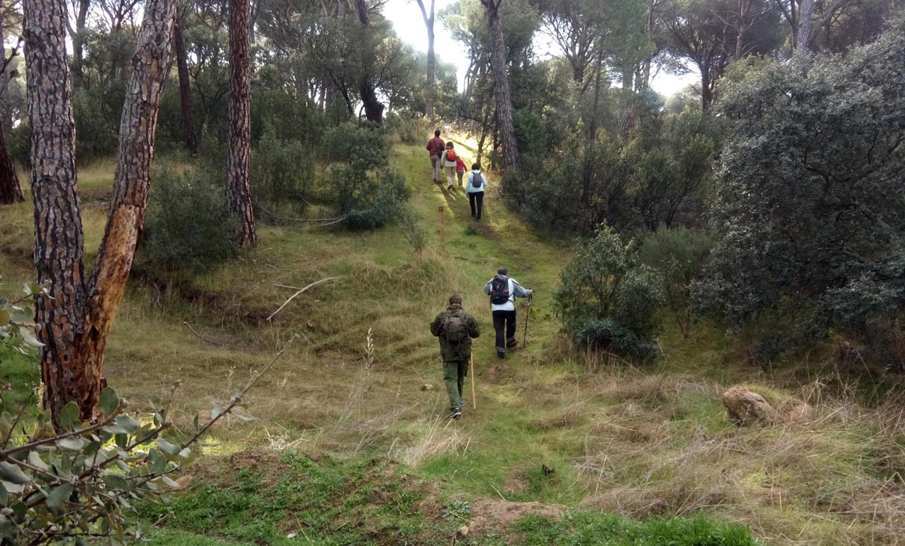 La Diputación de Toledo busca ocho nuevos senderos.