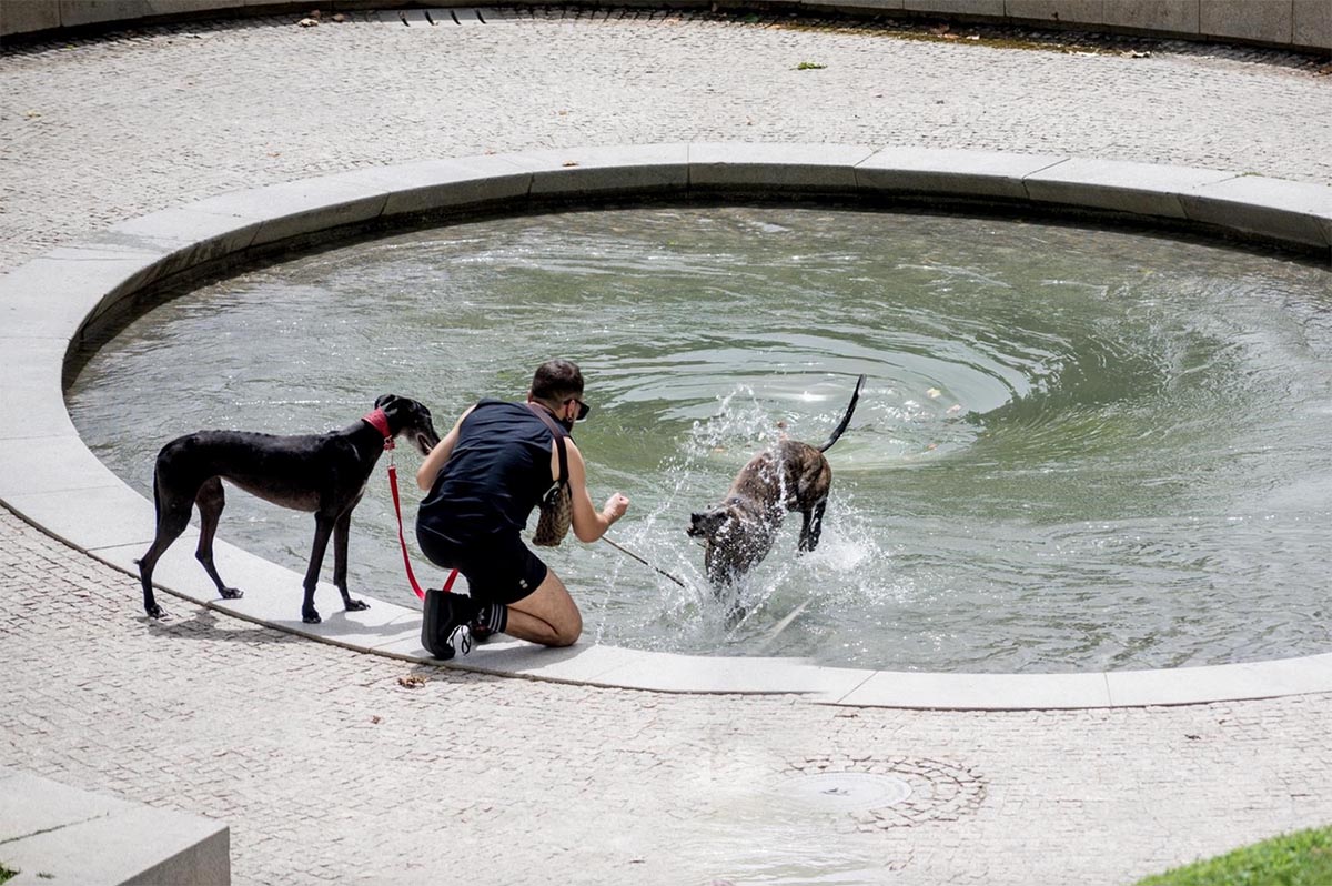 meteocam Llega el primer episodio de calor a España