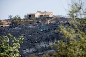 La urbanización Montesión ha quedado de esta forma tras el voraz incendio. Por fortuna, ninguna casa ardió.