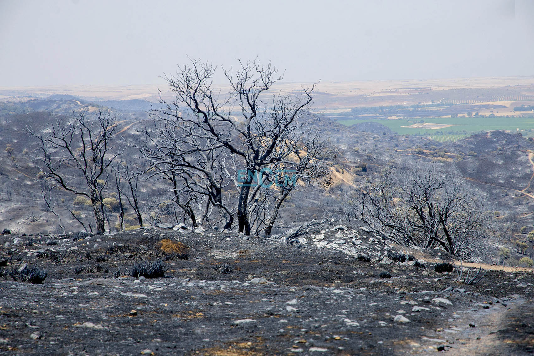 Imagen de una parte de la urbanización Montesión, en Toledo, un día después del incendio.