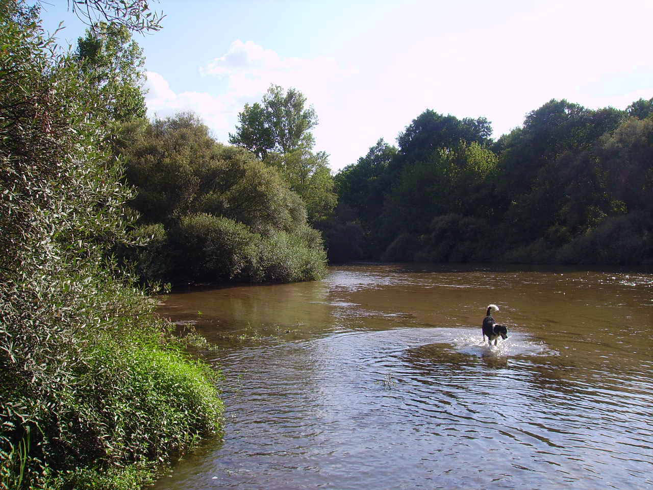Imagen de archivo del río Alberche a su paso por Escalon (Toledo).
