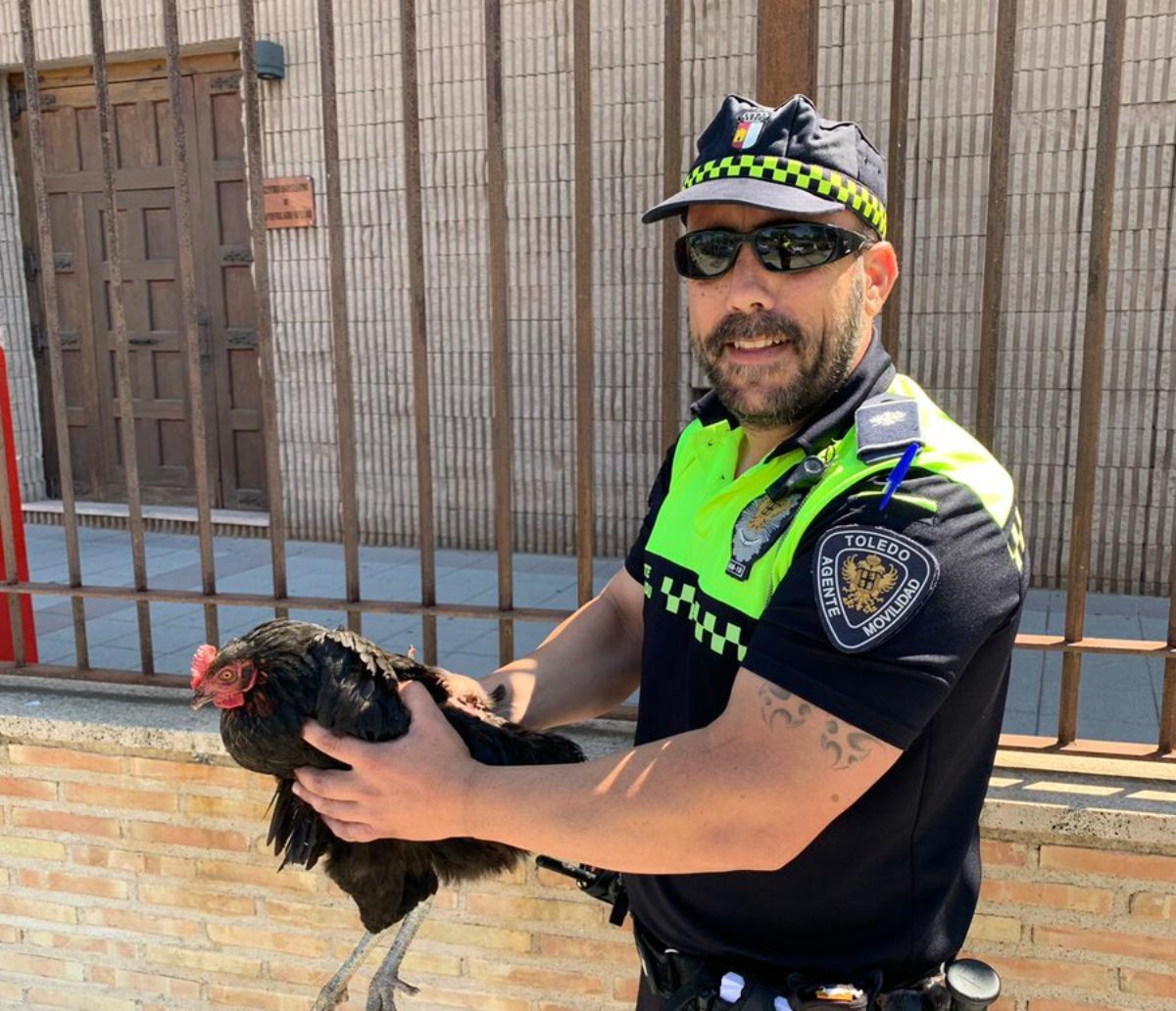 Un agente de movilidad sostiene a la gallina tras haber sido rescatada en la Avenida de Europa.